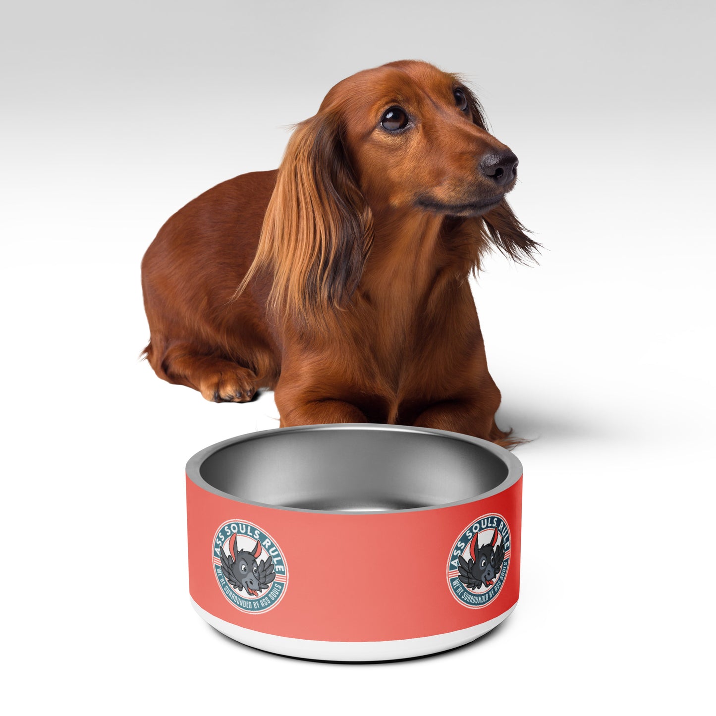 Logo of ASR pet bowl - salmon