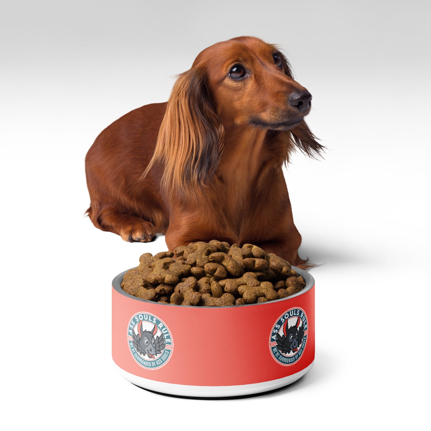 Logo of ASR pet bowl - salmon