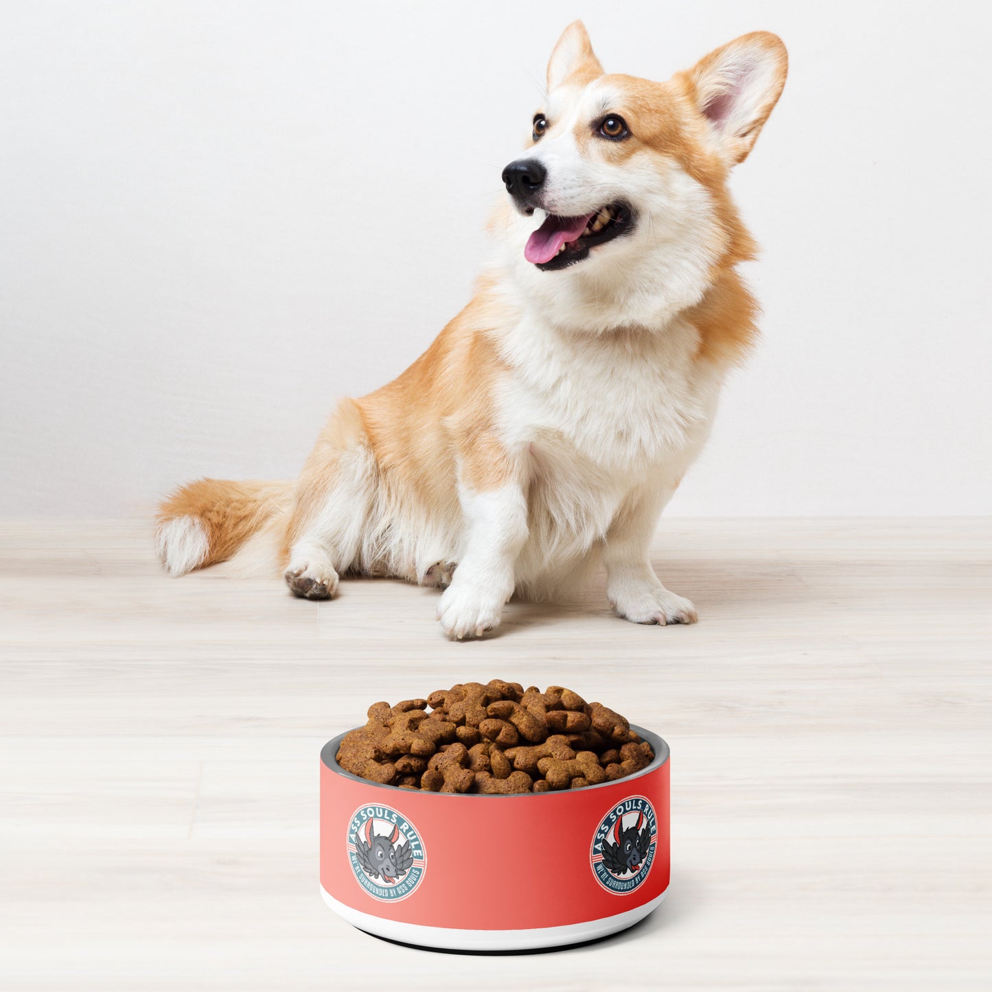 Logo of ASR pet bowl - salmon