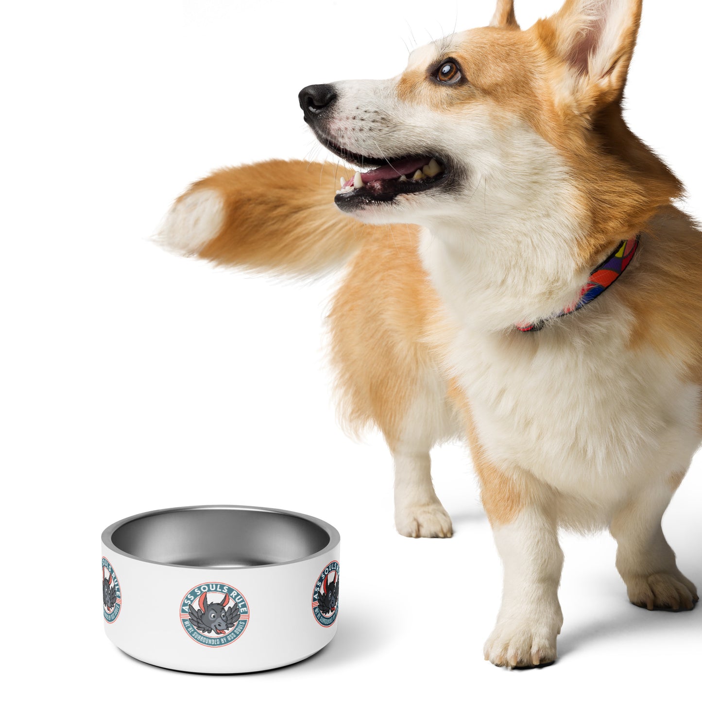 Logo of ASR pet bowl - white
