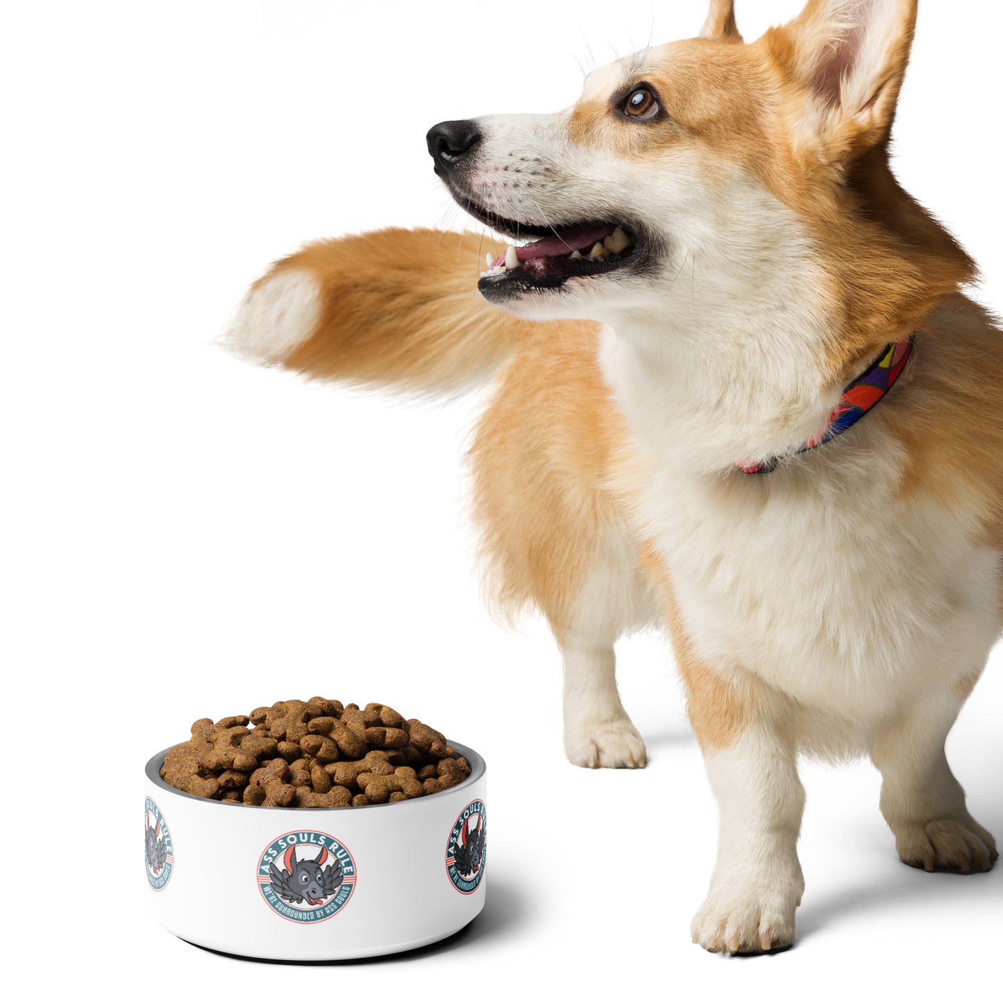 Logo of ASR pet bowl - white